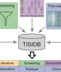 TISIDB