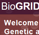 BioGRID