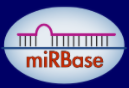 miRBase