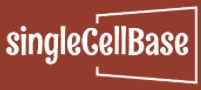 SingleCellBase