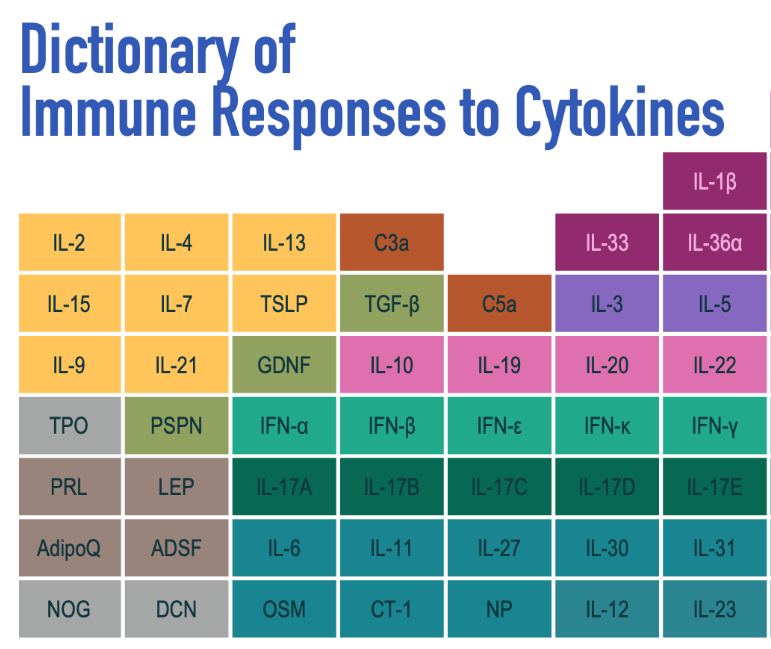 Immune Dictionary